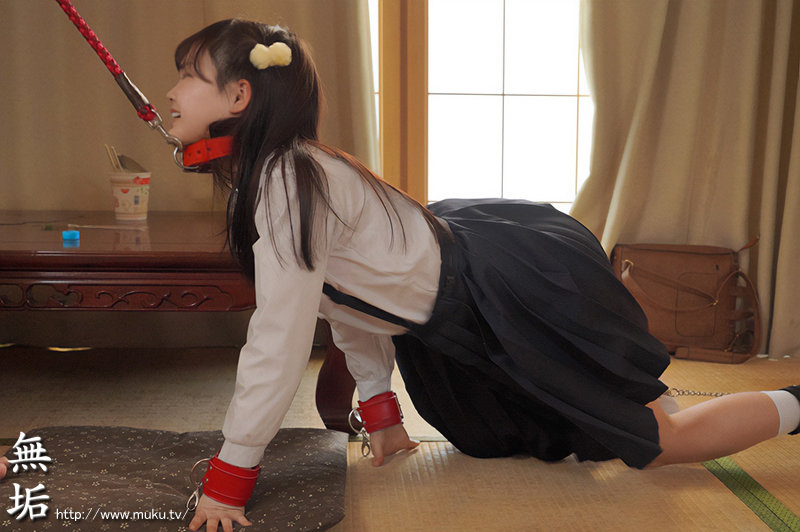 家賃の代わりに母親に売られた少女　監禁調教7日間 微乳少女を飼いならす - Image 3