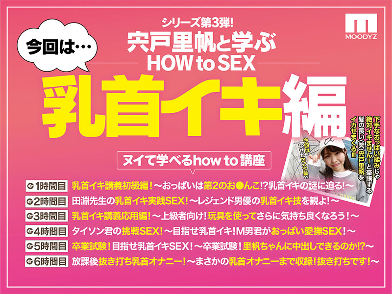 観れば絶対乳首イキさせられる！アナタもヌイて学べる宍戸里帆と一緒に！How to SEX！「乳首イキできたら中出し」編 - Image 3