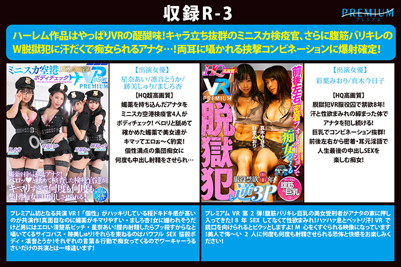 【全部HQ超高画質】プレミアムから感謝を込めて初VR総決算BESTを贈ります！長尺500分ぜんぶSEX！ 専属・ハーレム・あるあるシチュエーション・非日常企画まで「結構いいじゃん！」が詰まった凝縮25作品！ - Image 4